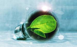 Энергетические растения сэкономят Украине 20 миллиардов кубометров газа ежегодно