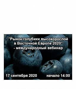 Рынок голубики высокорослой в Восточной Европе 2020
