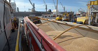 Україна експортувала перший мільйон тонн зерна в 2023 році