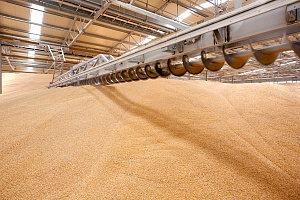 Россия регулирует рынок хранения зерновых