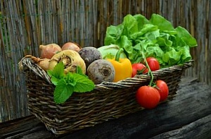 В Украине подешевели импортные овощи