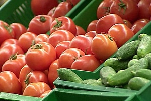 В Украине обвалились цены на тепличные овощи