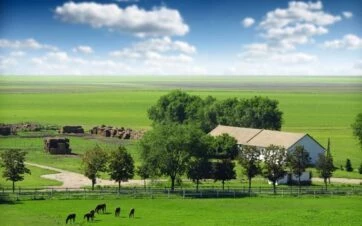 Истории украинских фермеров, которые вдохновляют Украинское фермерство