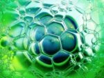 Биогаз увеличивает урожайность