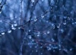 Интересности: 16 фактов о дожде