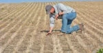 Система нулевой обработки почвы или «No-Till» технология