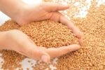 Ускорить развитие озимых и получить достойный урожай