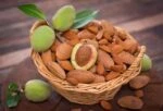 Миндаль - самая перспективная культура в мировом ореховодстве