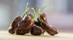 Шоколадное чудо! В Канаде вывели сорт сладкого перца со вкусом шоколада