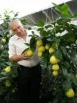 Экзотические теплицы под Киевом