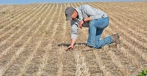 Система нульового обробітку землі або «No-Till» технологія