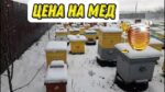 Цена на мёд