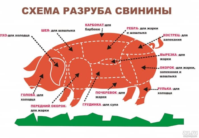 Схема разделки свиной туши
