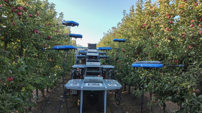 Летающие роботы Tevel с базовой наземной станцией во время сбора фруктов в саду компании Unifrutti в Чили.