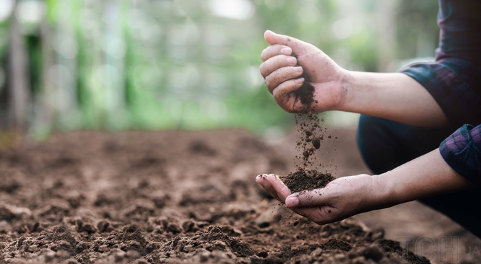 Как улучшить качественные показатели почвы