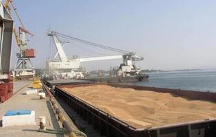 Завантаження зерна до бункерів корабля в морському порту.