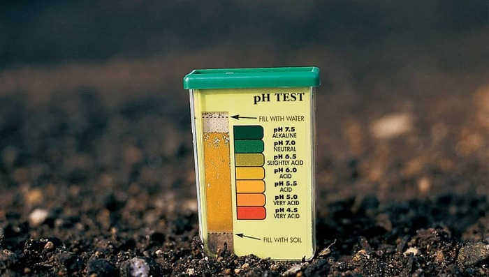 Как определить уровень кислотности почвы