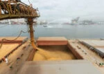 Зерно загружают в бункер корабля в морском порту.