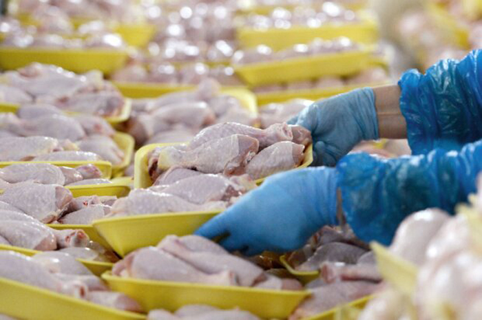 Работник в синих латексных перчатках раскладывает курятину в упаковки для продажи.