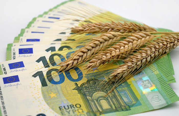 Колосья с зерном лежат на купюрах номиналом 100 евро.