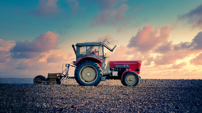 Трактор в поле проводит обработку почвы.