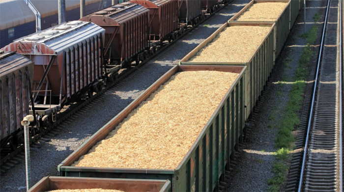 Зерно насипане у вантажні залізничні вагони, які стоять на рейках.