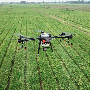 Аграрний дрон летить над посівами зернових культур.