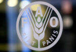 Логотип ФАО.