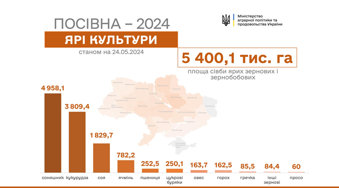 График, который показывает площади посевов разных яровых зерновых и зернобобовых культур в Украине по состоянию на 24 мая 2024 года.