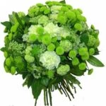 Цветы зеленого цвета. Зеленоцветные культуры