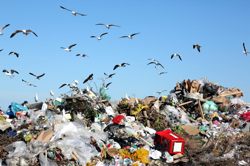 В год в Украине производится около 4 млн тонн бытовых органических отходов