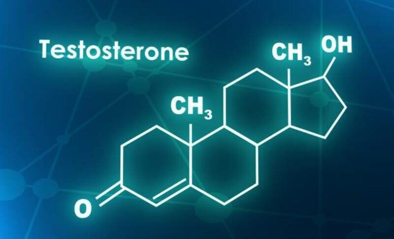 Тестостерон керує багатьма процесами у тканинах
