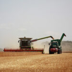 Зернозбиральний комбайн і трактор з причепом для зерна під час збирання врожаю на полі зернової культури.