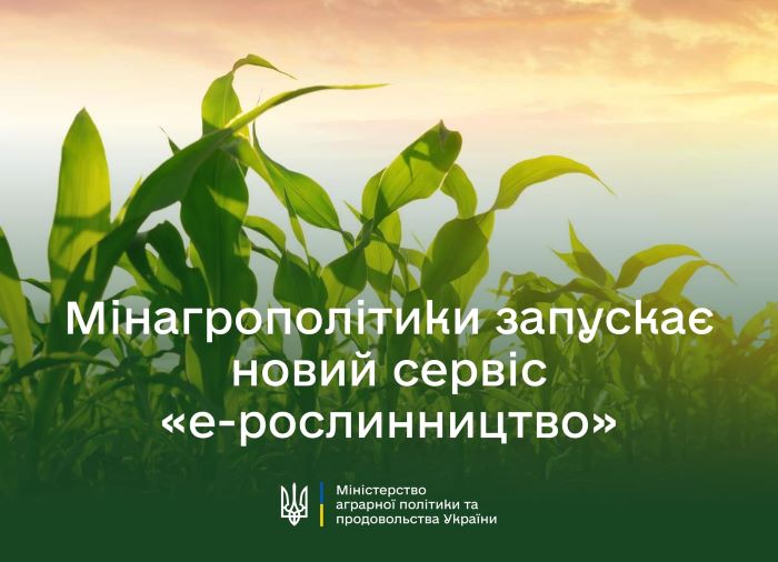 Надпись на украинском языке "Мінагрополітики запускає новий сервіс "е-рослинництво" на фоне изображения поля с растениями кукурузы.