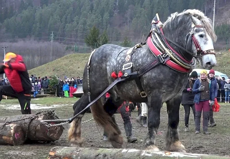 Полугибкий хомут