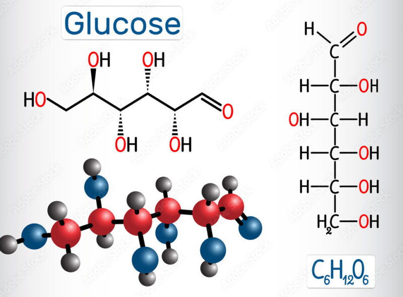 Для здійснення багатьох процесів в організмі корови потрібна глюкоза