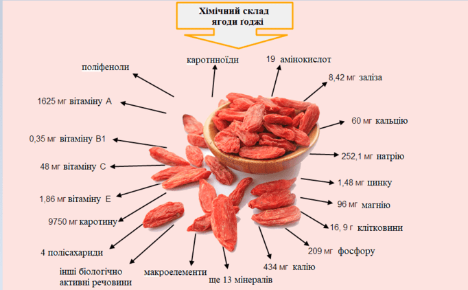 Повій звичайний, дереза, ягоди ґоджі