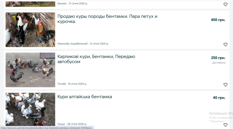 Придбати бентамок не складно, вони продаються вільно, пропозиції можна знайти на сайтах оголошень