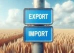 Таблички с надписями Export и Import висят на столбе на фоне поля пшеницы.