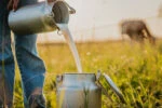 Молоко разных видов животных