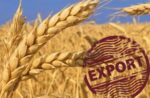 Коричневе коло зі словом EXPORT на фоні поля з жовтими колосками пшениці.