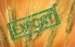 Аграрная продукция и слово экспорт.