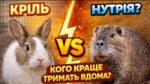 Кого вигідніше вирощувати – кролів чи нутрій?