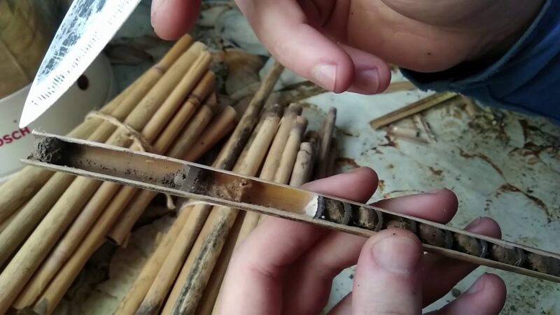 Извлечение коконов